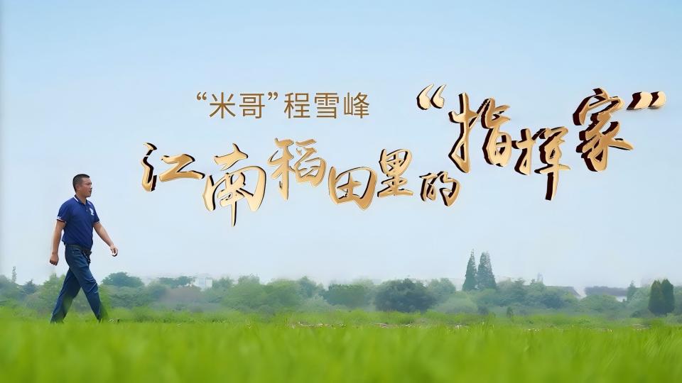 光芒·走訪家鄉的主角|“米哥”程雪峰：江南稻田里的“指揮家”