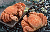 中秋團圓家宴必吃的15道應(yīng)景菜(圖)