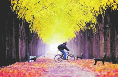 國家旅游局:旅游業向民間資本全方位開放