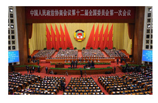 政協十二屆第一次會議
