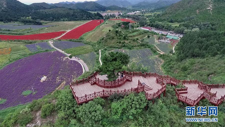 （十九大·讀報告 話民生）（10）加快生態(tài)文明體制改革，建設(shè)美麗中國
