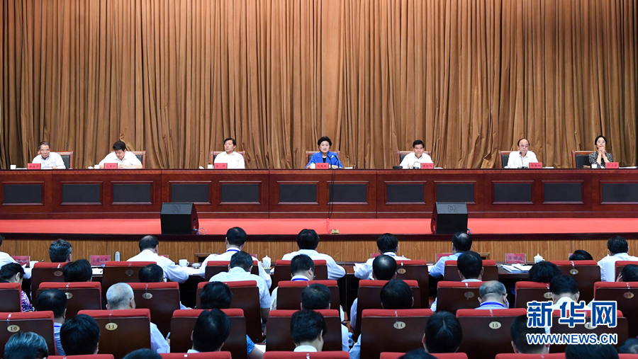 6月25日，全國民族團結(jié)進步創(chuàng)建經(jīng)驗交流現(xiàn)場會在內(nèi)蒙古興安盟召開，中共中央政治局委員、國務(wù)院副總理劉延?xùn)|出席會議并講話。 新華社記者 陳曄華 攝