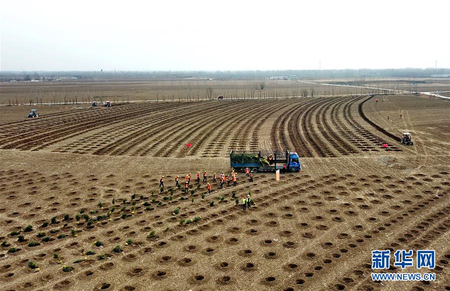 （新華全媒頭條·圖文互動）（6）奮進新時代　建設雄安城——以習近平同志為核心的黨中央謀劃指導《河北雄安新區規劃綱要》編制紀實