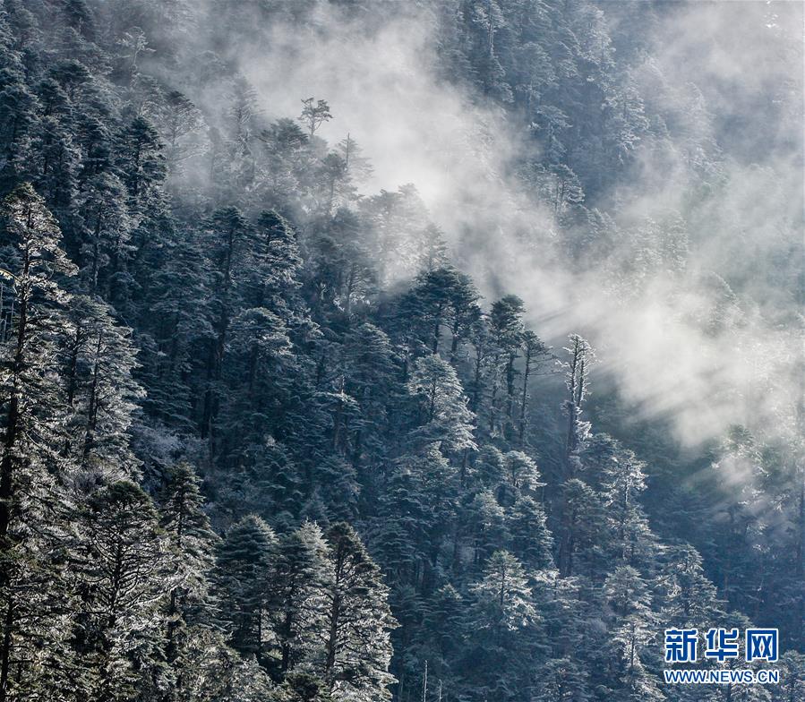 (環境)(8)白皮書:青藏高原地區仍然是地球上最潔凈的地區之一