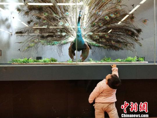 圖為展覽現場?！『h航 攝