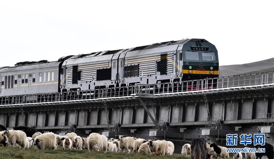 (新華全媒頭條·壯麗70年·奮斗新時(shí)代·圖文互動(dòng))(12)開(kāi)拓雪域高原的夢(mèng)想之路——來(lái)自青藏鐵路的蹲點(diǎn)報(bào)告