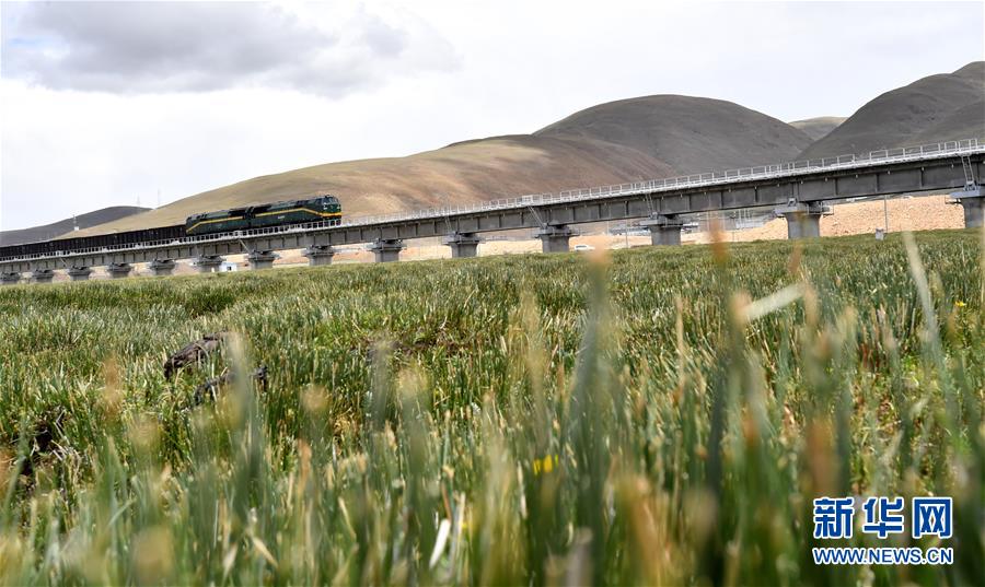 (新華全媒頭條·壯麗70年·奮斗新時(shí)代·圖文互動(dòng))(15)開(kāi)拓雪域高原的夢(mèng)想之路——來(lái)自青藏鐵路的蹲點(diǎn)報(bào)告