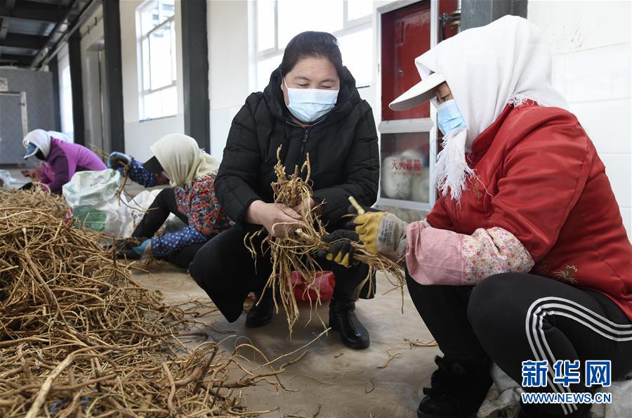 （新華全媒頭條·圖文互動）（2）特殊時期，他們這樣履職——全國人大代表這個春天在行動