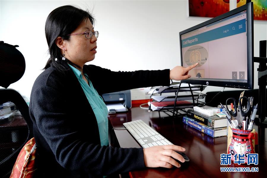 （圖文互動）（1）攻擊行為如何被大腦控制？科學家在小鼠大腦中發現“調節開關”