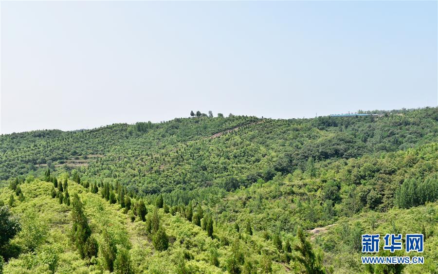 （決戰(zhàn)決勝脫貧攻堅(jiān)·圖文互動）（1）“愚公”治山