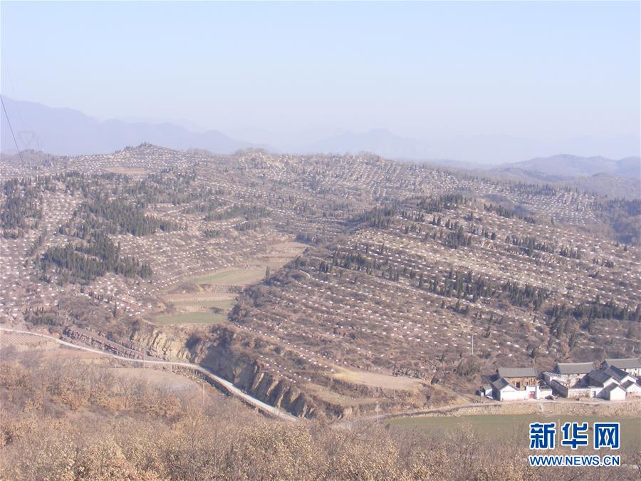 （決戰(zhàn)決勝脫貧攻堅(jiān)·圖文互動）（2）“愚公”治山