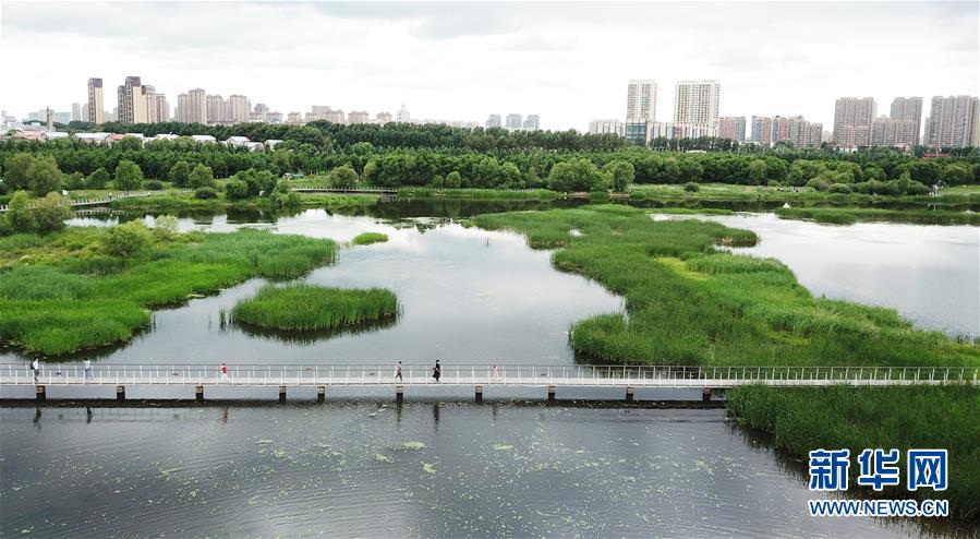 （走向我們的小康生活·圖文互動）（1）水清、地綠、空氣新——最北省份黑龍江繪就生態治理新畫卷