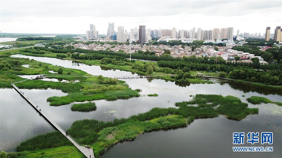 （走向我們的小康生活·圖文互動）（2）水清、地綠、空氣新——最北省份黑龍江繪就生態治理新畫卷