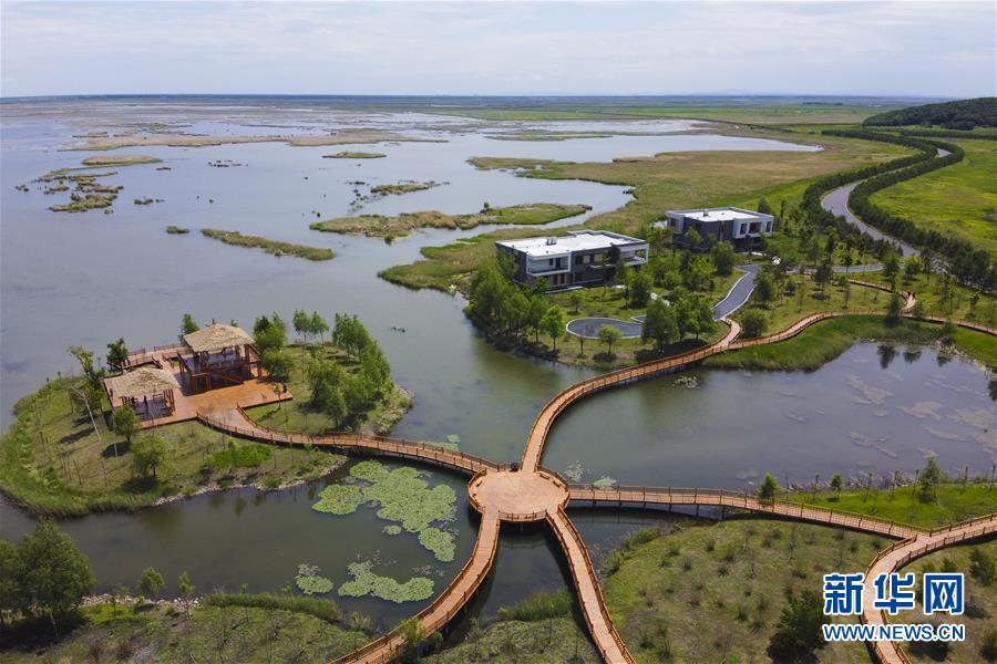 （走向我們的小康生活·圖文互動）（9）水清、地綠、空氣新——最北省份黑龍江繪就生態治理新畫卷