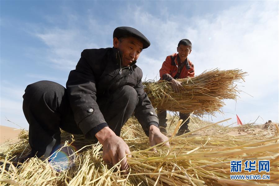 （在習(xí)近平新時(shí)代中國(guó)特色社會(huì)主義思想指引下——新時(shí)代新作為新篇章·習(xí)近平總書記關(guān)切事·圖文互動(dòng)）（5）綠色映底蘊(yùn)，山水見初心——生態(tài)優(yōu)先、綠色發(fā)展持續(xù)造福群眾美好生活