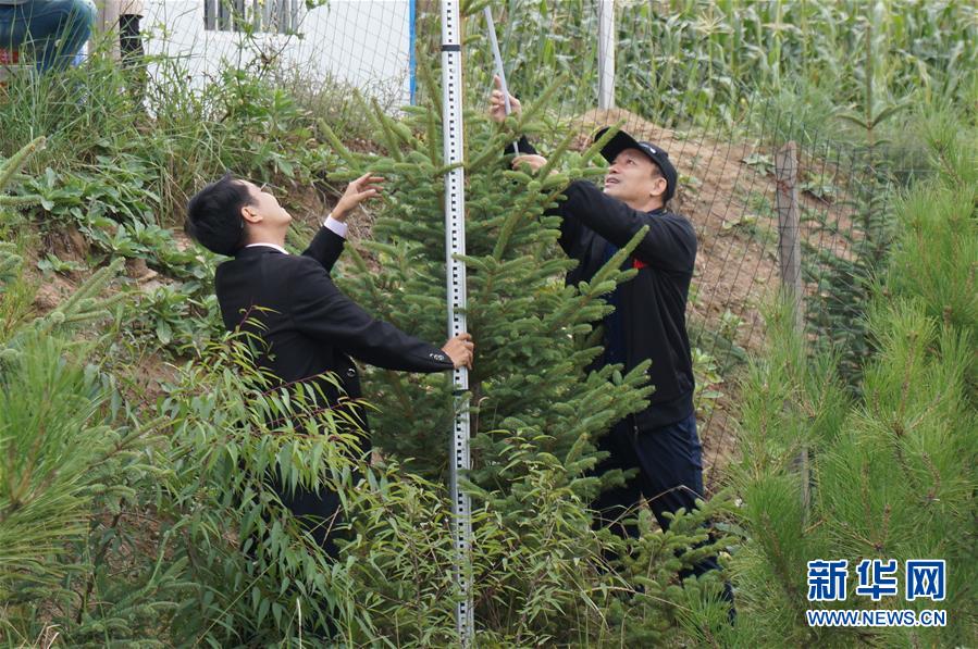 （決戰決勝脫貧攻堅·圖文互動）（2）甘肅定西黃土高坡上，有片“福州林”