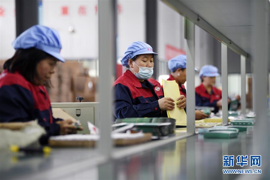 （在習近平新時代中國特色社會主義思想指引下——新時代新作為新篇章·習近平總書記關切事·圖文互動）（1）“綠色銀行”發工資、“股東”分紅來敲門……——探索長效脫貧致富新機制見聞