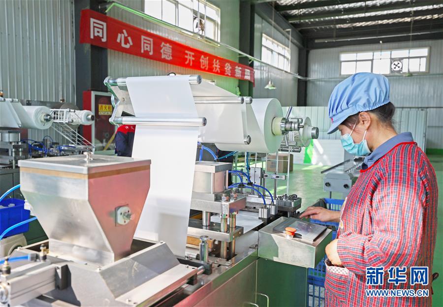 （在習近平新時代中國特色社會主義思想指引下——新時代新作為新篇章·習近平總書記關切事·圖文互動）（2）“綠色銀行”發工資、“股東”分紅來敲門……——探索長效脫貧致富新機制見聞