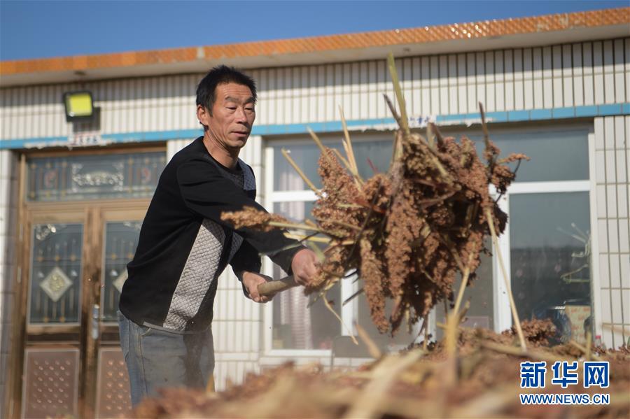 （全面建成小康社會“百城千縣萬村”調研行·圖文互動）（1）互助互利，小甘薯帶來甜蜜日子——內蒙古奈曼旗互利村闖出產業致富之路