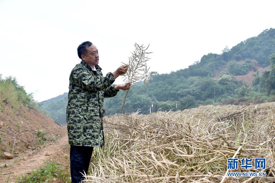 （代表委員履職·圖文互動）（1）“我是農民代表，始終關注農村”——全國人大代表沈昌健的履職故事