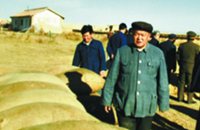 無限忠誠，一生不渝的信仰