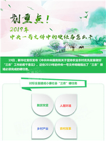 劃重點！2019年中央一號文件中的硬任務怎么干