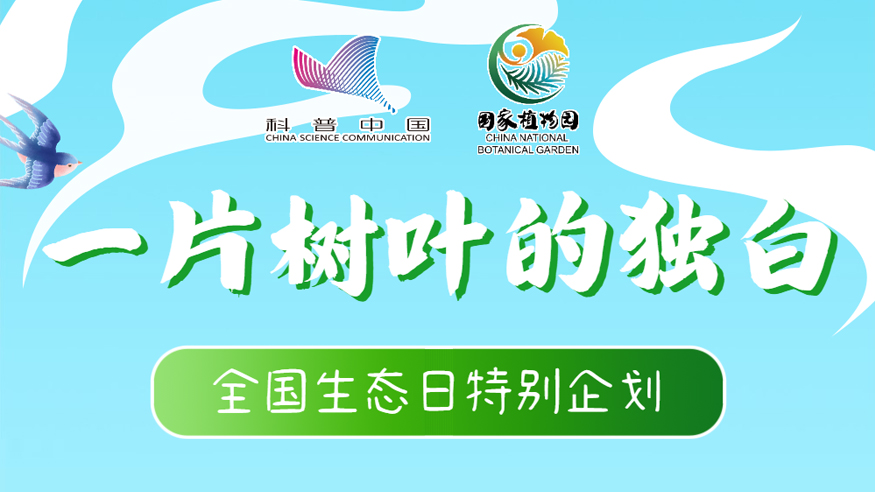 全國(guó)生態(tài)日丨一片樹葉的獨(dú)白