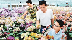 臺商眼中的改革開放：風景這邊獨好 要去，要去，要去！