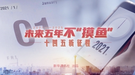 未來(lái)五年，不“摸魚(yú)”