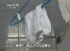 焦點訪談 孩子，你在哪里